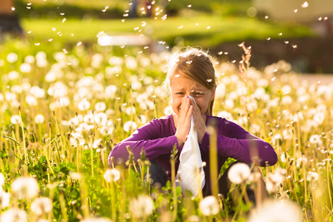 A young girl sneezing in a field